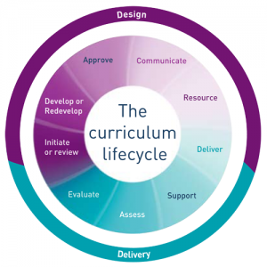 curriculum-lifecycle